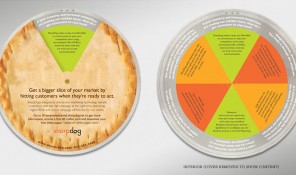 portfolio_sharpdog